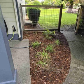 Cleanups by 662 Grass Monkey Lawn SVC reviewed on April 29, 2022