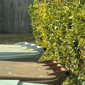 Bush Trimming by Edis Marin reviewed on May 8, 2022
