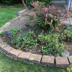 Flower Bed Weeding by Montoya Maintenance Services reviewed on May 8, 2025