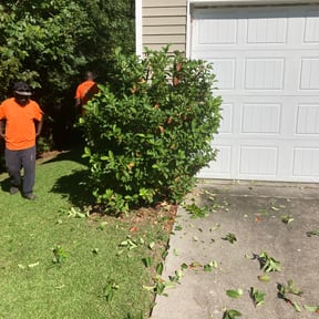 Bush Trimming by Nickel Pickle Landscapes reviewed on July 30, 2025