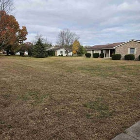 Leaf Removal by Steve's Lawn Care&More reviewed on June 30, 2025