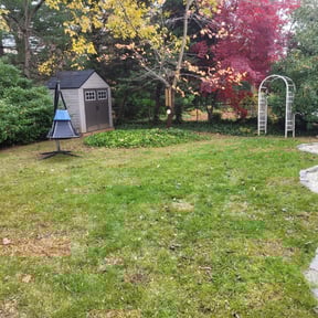 Cleanups by Big Boii Landscaping & Mote.... reviewed on November 20, 2022