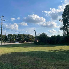Cleanups by Cutting up Lawn and Tree Care reviewed on November 19, 2022