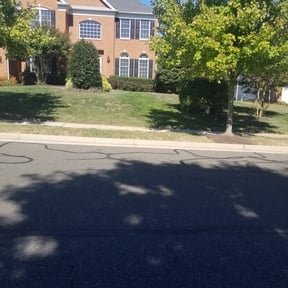 Bush Trimming by Visions Landscaping reviewed on June 2, 2022