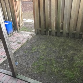 Cleanups by Lawn services JAV reviewed on November 20, 2024