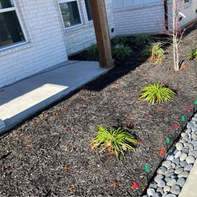 Cleanups by Lion&#039;s Landscaping reviewed on April 15, 2025