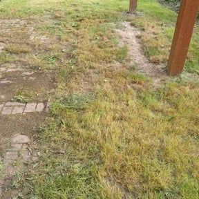 Cleanups by CnA Lawn and landscape reviewed on November 6, 2020