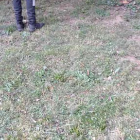 Bush Trimming by American Dream Lawn and Services reviewed on July 8, 2020
