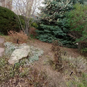 Landscaping by Nicks Lawn Care reviewed on June 29, 2025