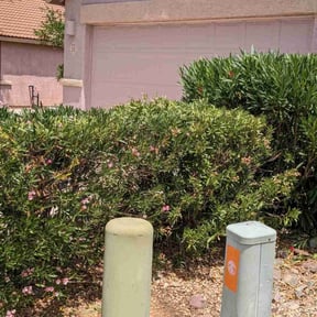 Bush Trimming by Smiley's Landscaping LLC reviewed on August 11, 2025