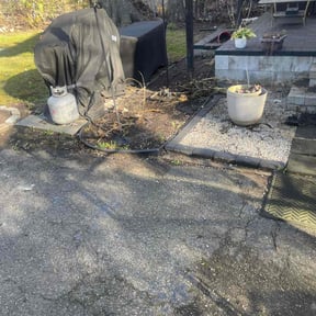 Leaf Removal by Tripps lawn reviewed on May 15, 2022