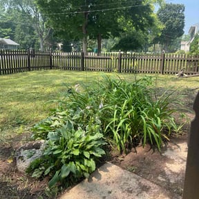 Cleanups by Finns landscaping reviewed on November 18, 2024