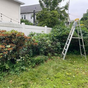Bush Trimming by Platinum Landscape reviewed on July 12, 2022