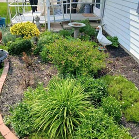 Flower Bed Weeding by Ortiz landscape reviewed on May 14, 2025