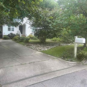 Bush Trimming by L&amp;D Lawn Care Inc. reviewed on October 16, 2024