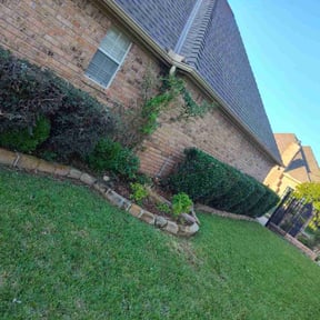 Bush Trimming by Gerald Helmke reviewed on October 11, 2021