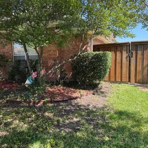 Bush Trimming by LSLTDallas/FortWorthTruGreen reviewed on September 21, 2023
