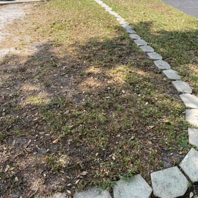 Leaf Removal by Boyd's sustainable greens reviewed on July 9, 2025