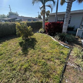 Cleanups by DC Lawn Care reviewed on September 29, 2021