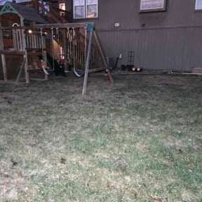 Leaf Removal by Crutchfield Property Maintenance reviewed on May 20, 2022