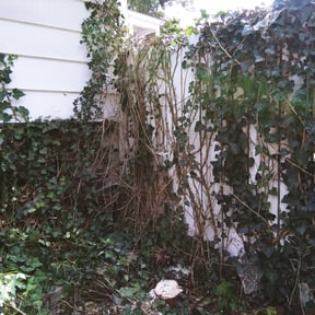 Cleanups by Undefeated Landscaping LLC. reviewed on August 7, 2022