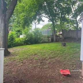 Leaf Removal by Lawn pros. reviewed on July 24, 2022