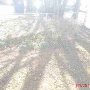 Flower Bed Weeding by Krenik lawn services reviewed on October 24, 2024