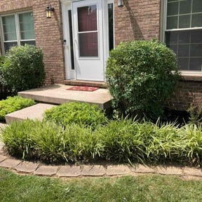 Landscaping by Lawn and Labor Services reviewed on July 18, 2022