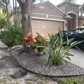 Cleanups by Cutting up Lawn and Tree Care reviewed on July 26, 2022