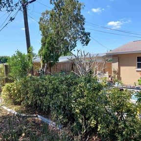 Bush Trimming by New Surroundings reviewed on July 29, 2022