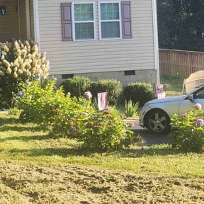Bush Trimming by Unique Cleaner Sloutions LLC reviewed on July 15, 2022