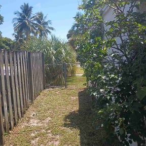 Bush Trimming by Furia Global LLC reviewed on August 14, 2024