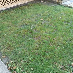 Leaf Removal by L&A Lawn Care reviewed on June 6, 2022