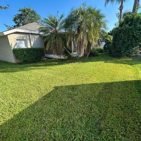 Bush Trimming by ValueBase Lawn Care reviewed on November 8, 2022