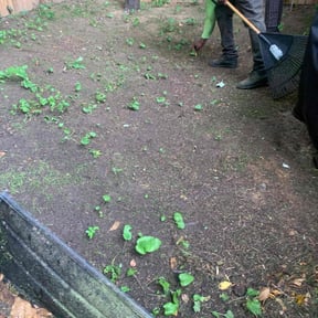 Leaf Removal by BSM & Co. Landscaping reviewed on April 29, 2022