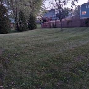 Leaf Removal by Murphy's Lawn Service reviewed on April 26, 2022
