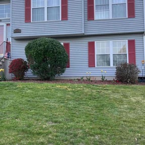 Bush Trimming by Davenport Landscaping reviewed on June 5, 2022