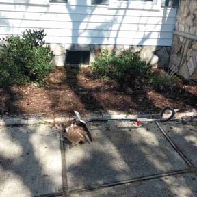 Flower Bed Weeding by Type A Lawn Guy reviewed on July 16, 2025