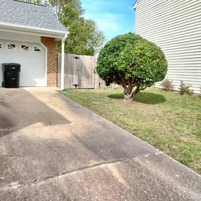 Bush Trimming by Greener Lawn Care LLC reviewed on April 13, 2025