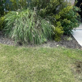 Flower Bed Weeding by KKKIPO reviewed on April 28, 2022