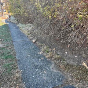 Leaf Removal by FoggaNation’s Divine Lawn Care reviewed on May 20, 2022