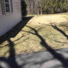 Leaf Removal by Jonathan Page Sr reviewed on May 28, 2022