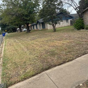 Landscaping by (1 N all cleaning service) reviewed on April 19, 2022