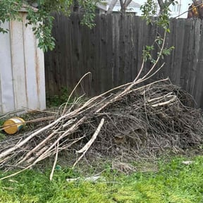 Cleanups by Torres Lawn Care reviewed on June 30, 2022