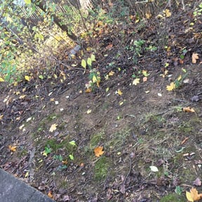 Cleanups by Jason's Home Service's LLC reviewed on June 10, 2022
