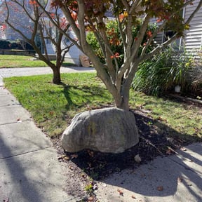 Leaf Removal by Matts Landscaping reviewed on November 9, 2022