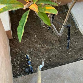 Flower Bed Weeding by Jeri Cleaning Services reviewed on April 1, 2022
