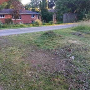 Cleanups by Peppers Lawn Care reviewed on June 9, 2022
