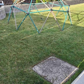 Bush Trimming by Top Turf L.L.C reviewed on July 20, 2022