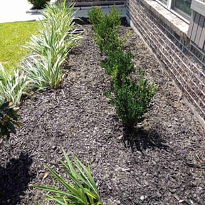 Flower Bed Weeding by Johnson landscaping reviewed on July 11, 2022